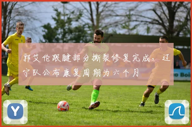 郭艾伦跟腱部分撕裂修复完成，辽宁队公布康复周期为六个月